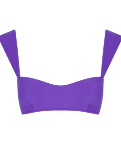 Women Dancing Leopard Halo Salinas Bikini Top In Indigo Purple